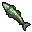 5x Northern Pike